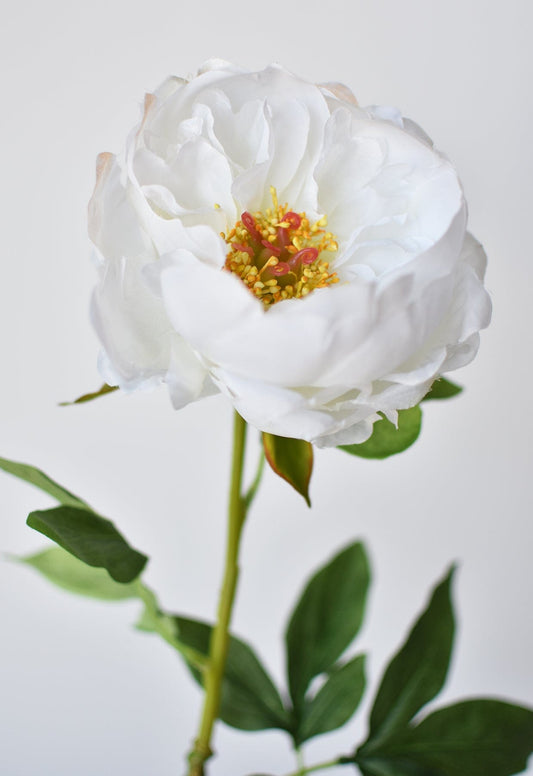 22" Faux White Peony Stem