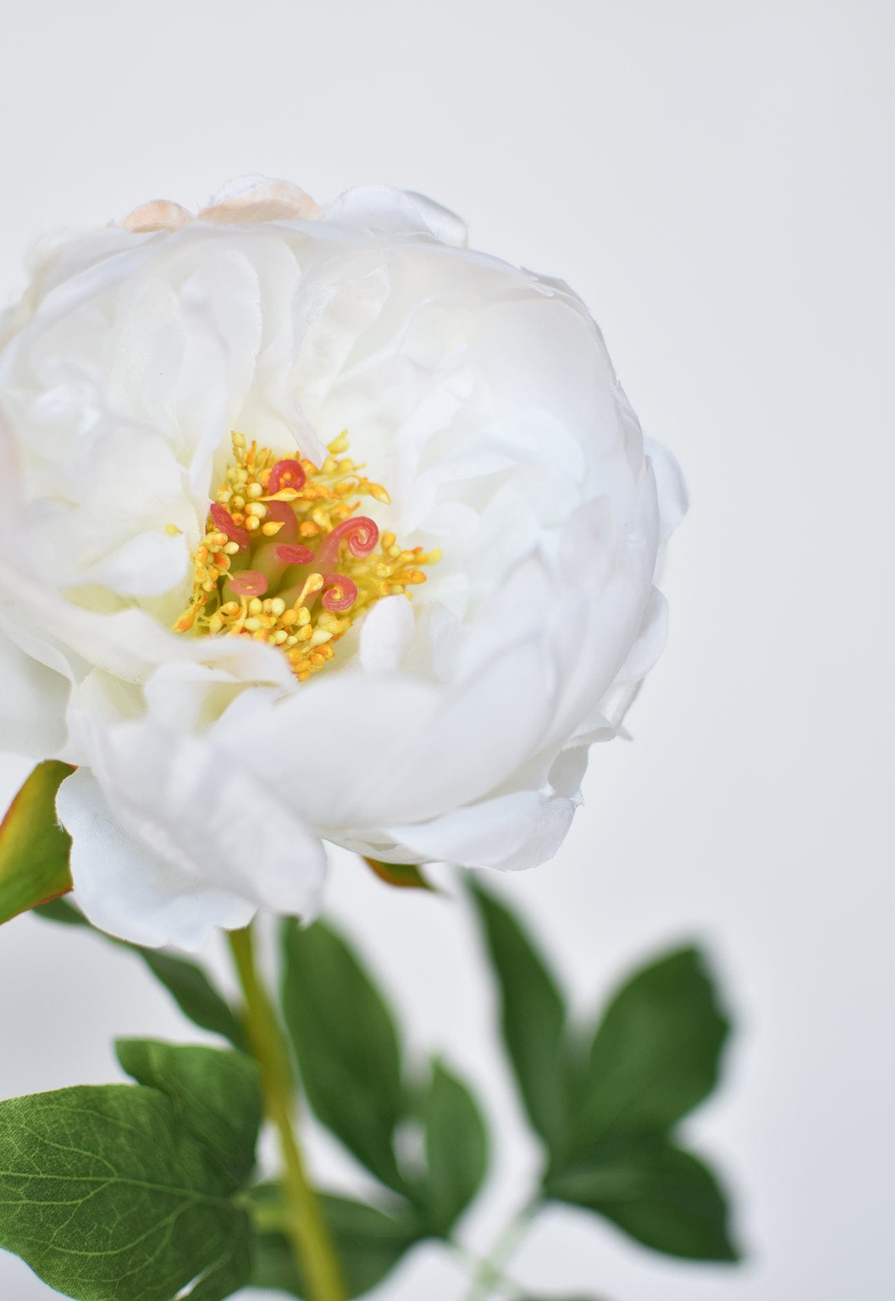 22" Faux White Peony Stem