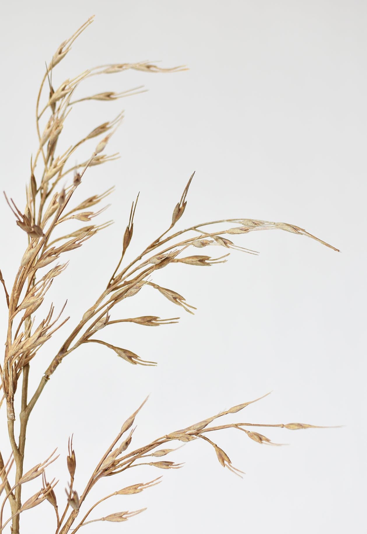 34" Faux Beige Wild Wheat Stem